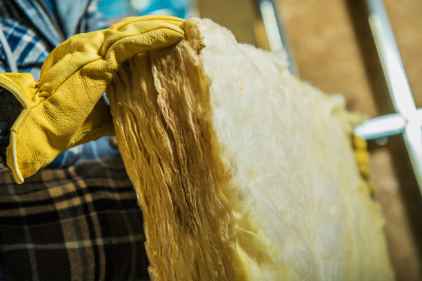 Best Eco-Friendly Insulation in Woodmere, LA