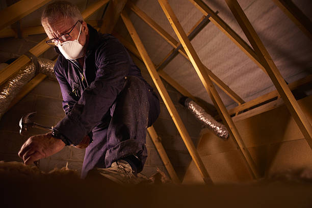 Best Insulation Maintenance and Repair in Woodmere, LA